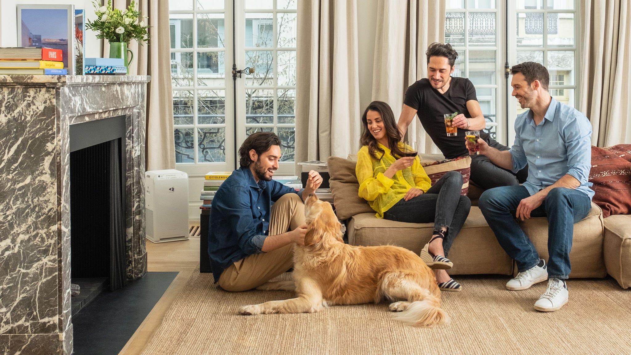 Ein Luftreiniger reduziert Tierhaare in einem Wohnzimmer mit Hund