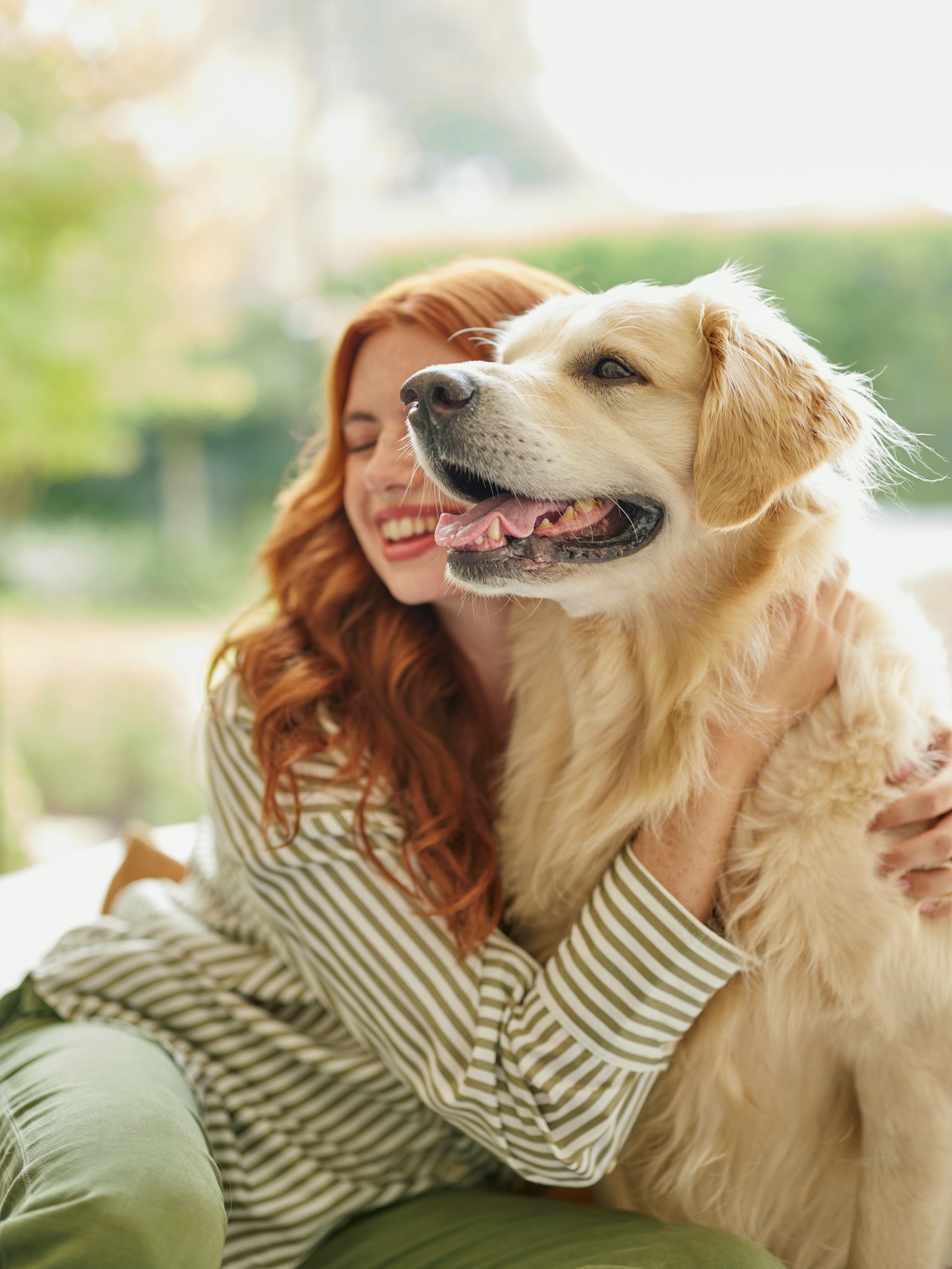 Leben mit Haustieren und Umgang mit Haustierallergiesymptomen zu Hause