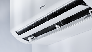 FTXM-A_Details_07.tif